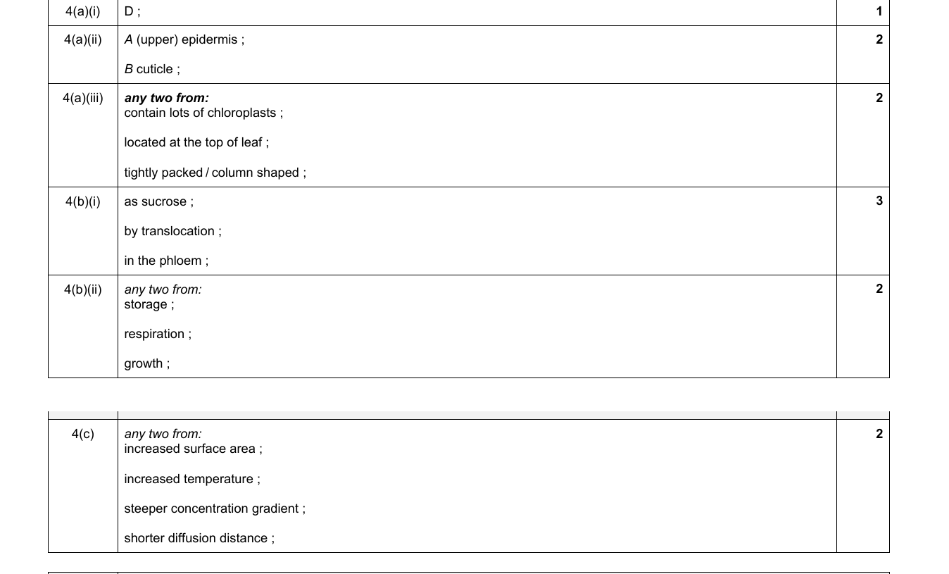 Mark scheme for IGCSE 0654 Jun 2024 Paper 43 Q4