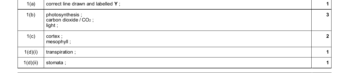 Mark scheme for IGCSE 0654 Jun 2025 Paper 31 Q1