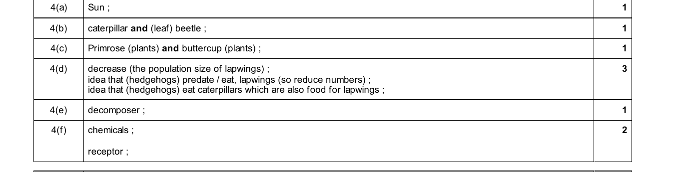 Mark scheme for IGCSE 0654 Jun 2025 Paper 31 Q4