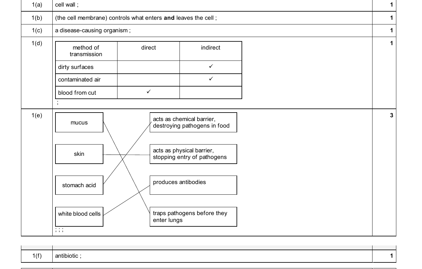 Mark scheme for IGCSE 0654 Jun 2025 Paper 33 Q1