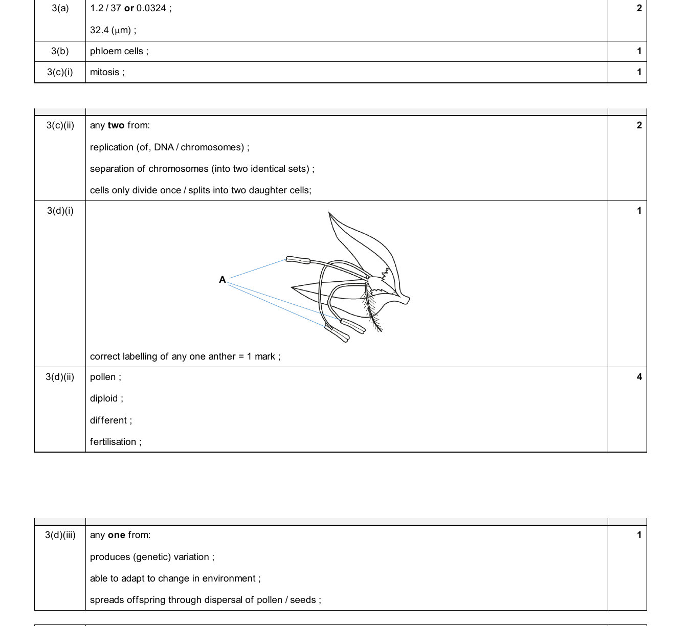 Mark scheme for IGCSE 0654 Jun 2025 Paper 41 Q3