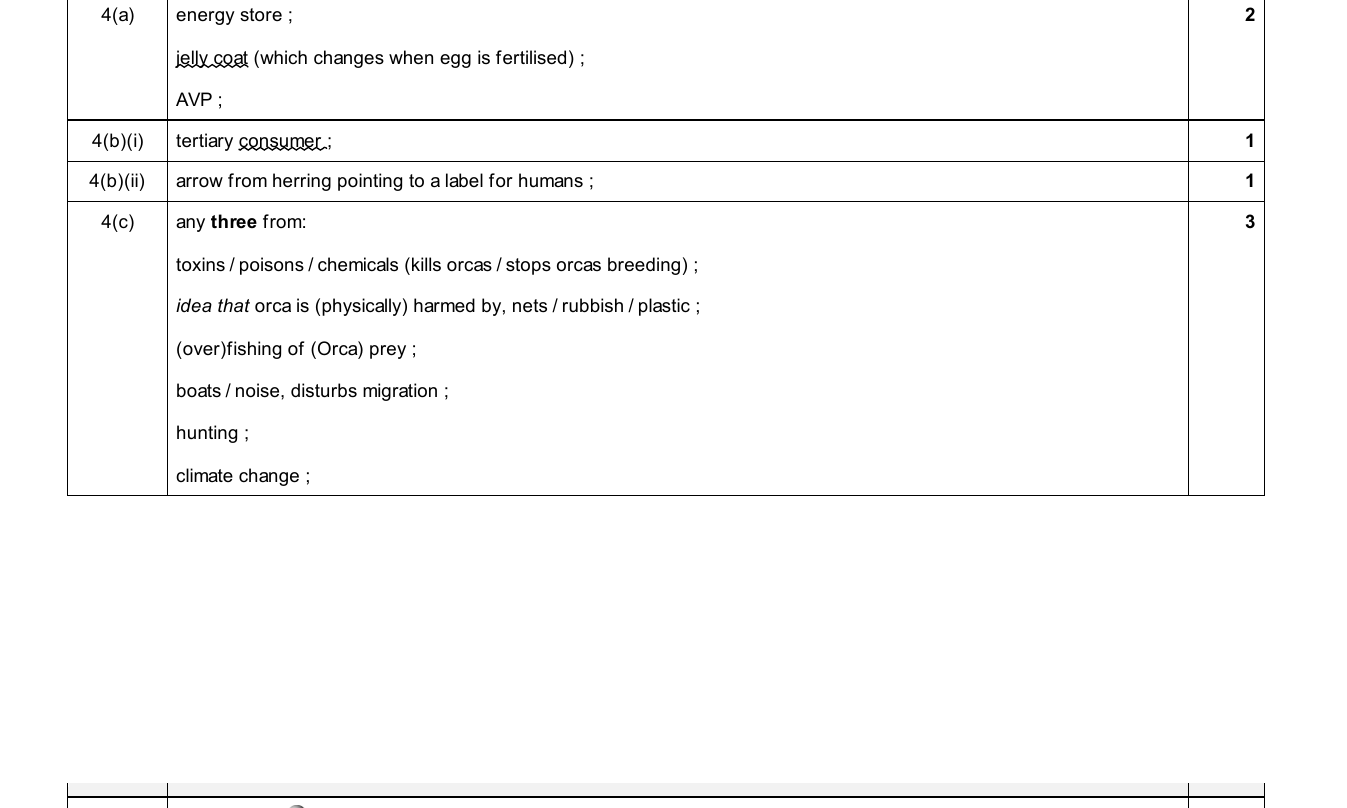 Mark scheme for IGCSE 0654 Jun 2025 Paper 42 Q4