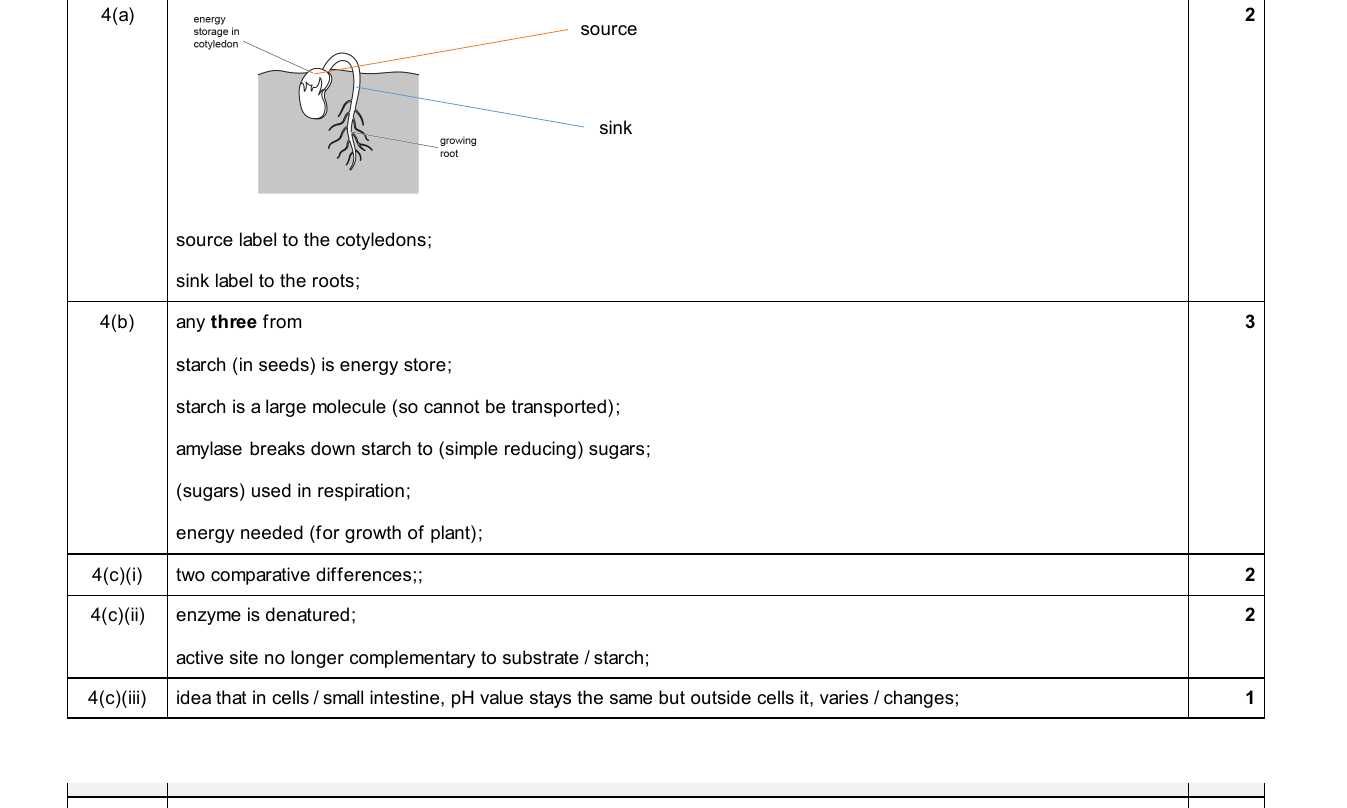Mark scheme for IGCSE 0654 Jun 2025 Paper 43 Q4