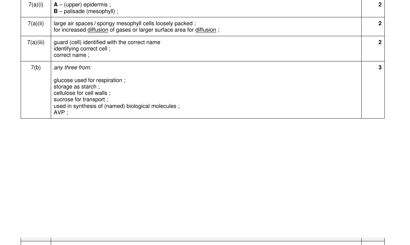 Mark scheme for IGCSE 0654 Nov 2023 Paper 43 Q7