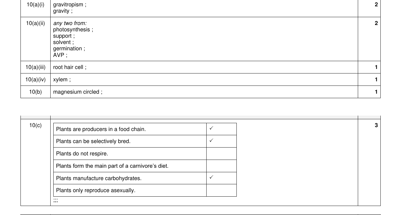Mark scheme for IGCSE 0654 Nov 2024 Paper 31 Q10