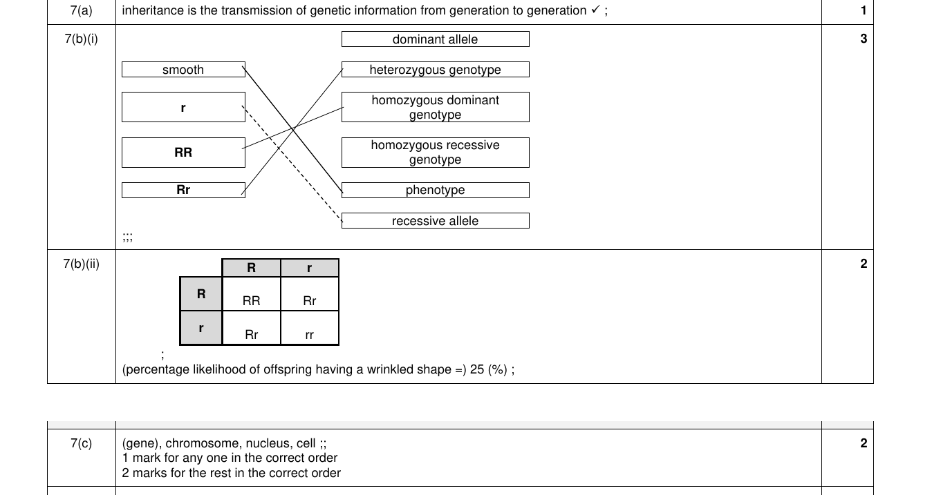 Mark scheme for IGCSE 0654 Nov 2024 Paper 31 Q7