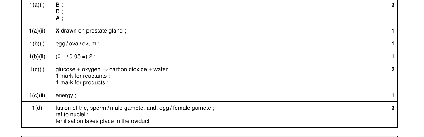 Mark scheme for IGCSE 0654 Nov 2024 Paper 32 Q1