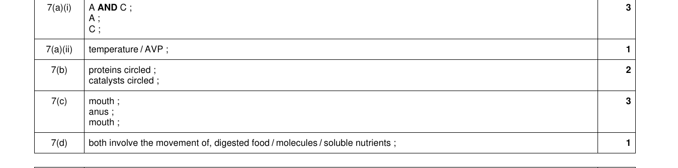 Mark scheme for IGCSE 0654 Nov 2024 Paper 32 Q7