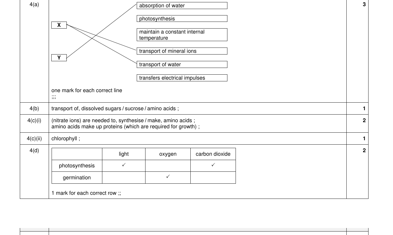 Mark scheme for IGCSE 0654 Nov 2024 Paper 33 Q4