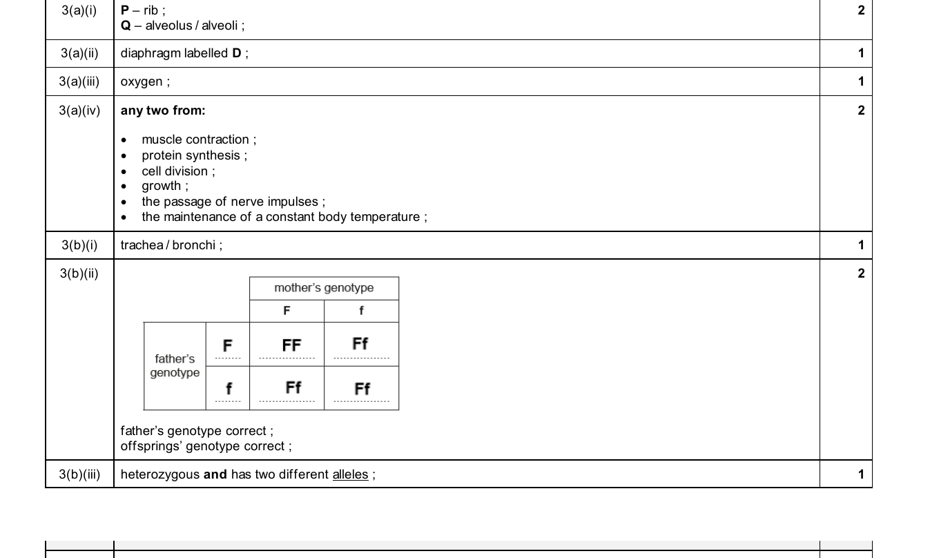 Mark scheme for IGCSE 0654 Nov 2025 Paper 32 Q3