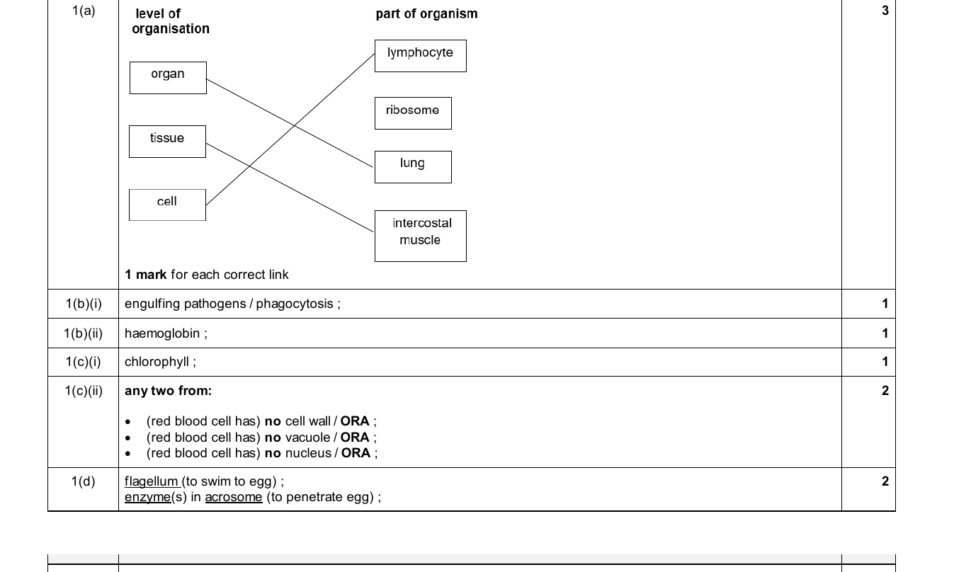 Mark scheme for IGCSE 0654 Nov 2025 Paper 42 Q1