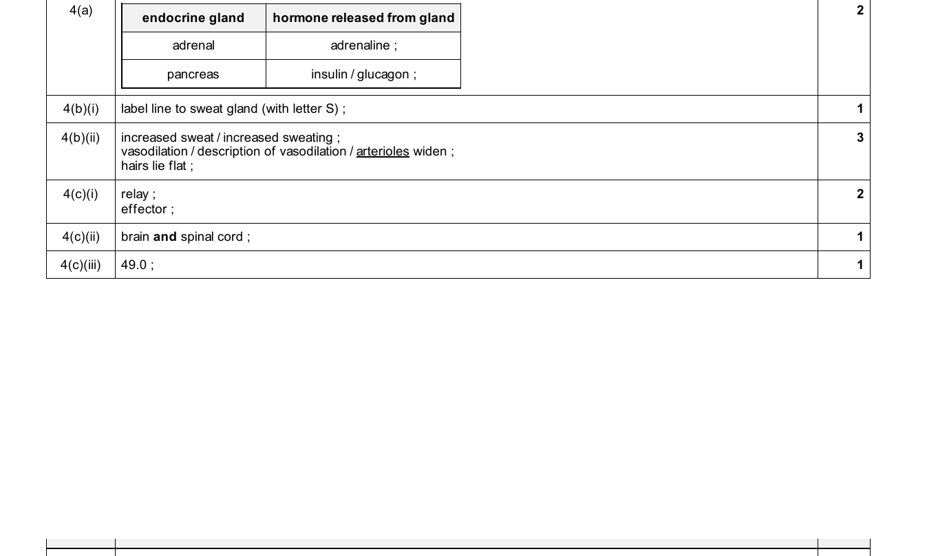 Mark scheme for IGCSE 0654 Nov 2025 Paper 42 Q4