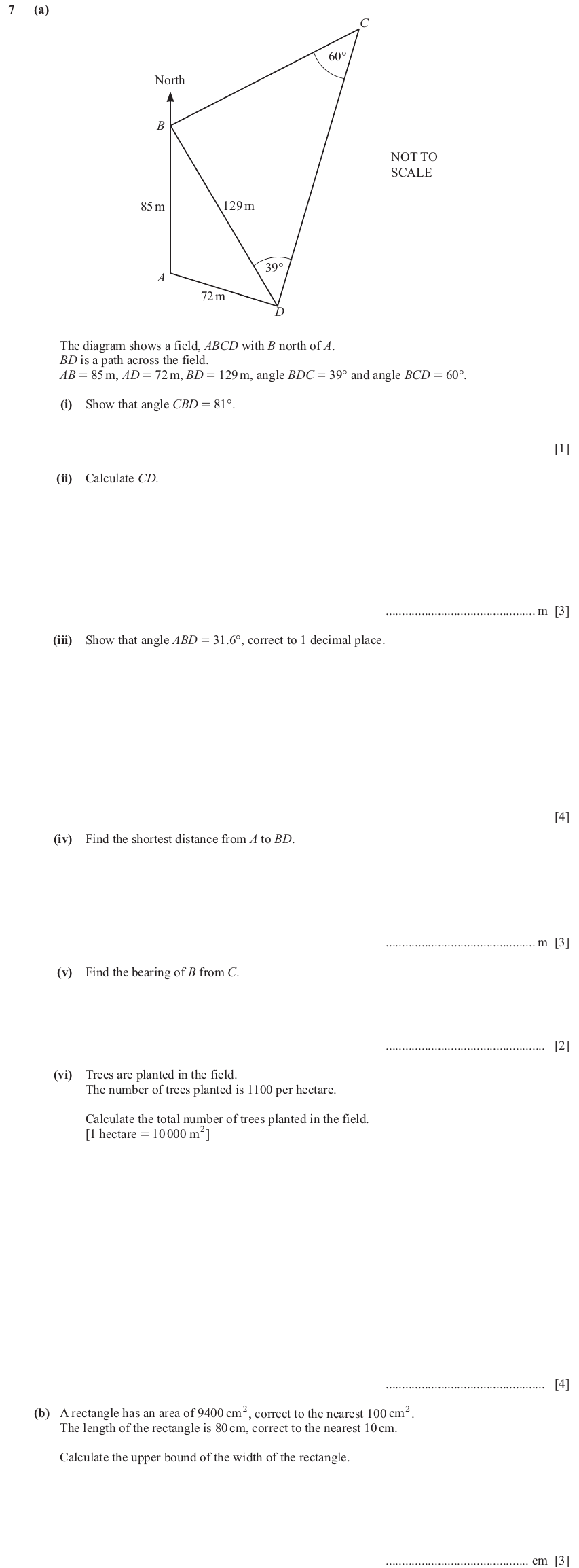 IGCSE Mathematics 0580 Oct/Nov 2024 Paper 42 Question 7 – Vectors, Vectors (basic), 20 marks
