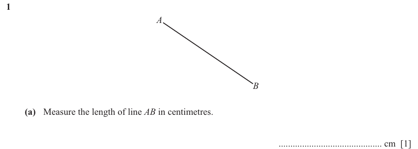 IGCSE 0580 Nov 2025 Paper 31 Question 1 — Construction & measurement (Core, 2 marks)