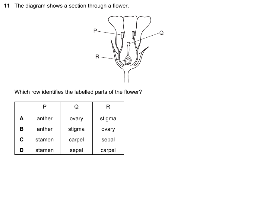 IGCSE 0653 Mar 2023 Paper 12 Q11 — Reproduction