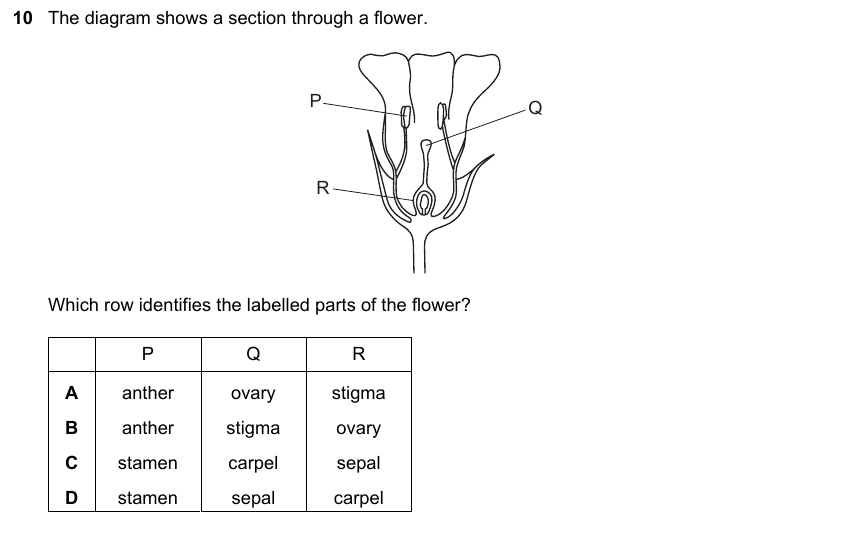 IGCSE 0653 Mar 2023 Paper 22 Q10 — Reproduction