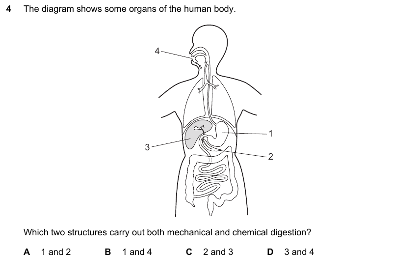IGCSE 0653 Mar 2023 Paper 22 Q4 — Transport in Animals
