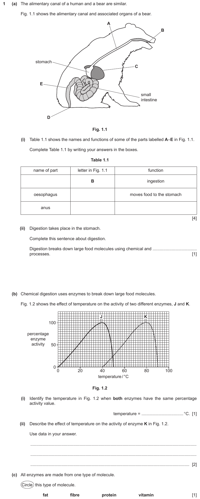 IGCSE 0653 Mar 2023 Paper 32 Q1 — Human Nutrition
