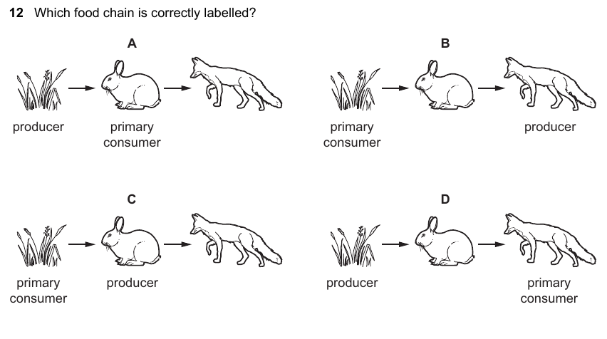 IGCSE 0653 Mar 2024 Paper 12 Q12 — Gas Exchange & Respiration