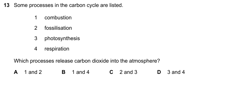 IGCSE 0653 Mar 2024 Paper 12 Q13 — Gas Exchange & Respiration