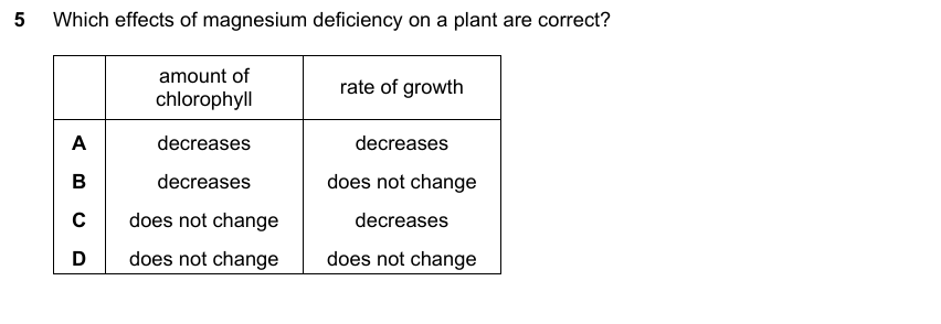 IGCSE 0653 Mar 2024 Paper 12 Q5 — Transport in Plants
