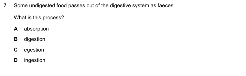 IGCSE 0653 Mar 2024 Paper 12 Q7 — Transport in Plants