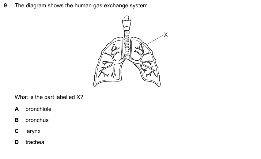 IGCSE 0653 Mar 2024 Paper 12 Q9 — Reproduction