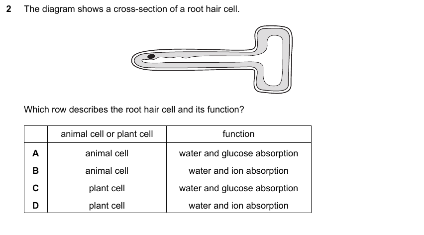 IGCSE 0653 Mar 2024 Paper 22 Q2 — Transport in Plants