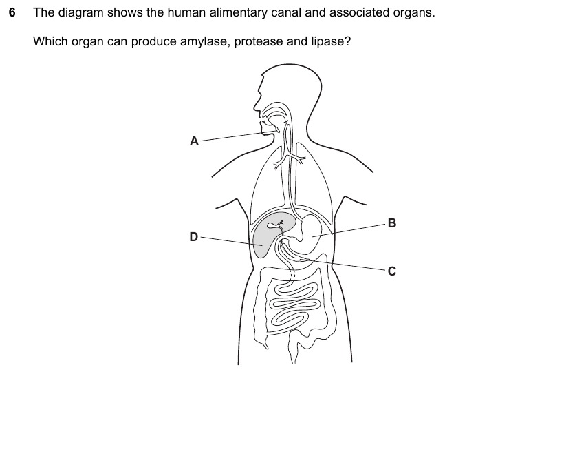 IGCSE 0653 Mar 2024 Paper 22 Q6 — Reproduction