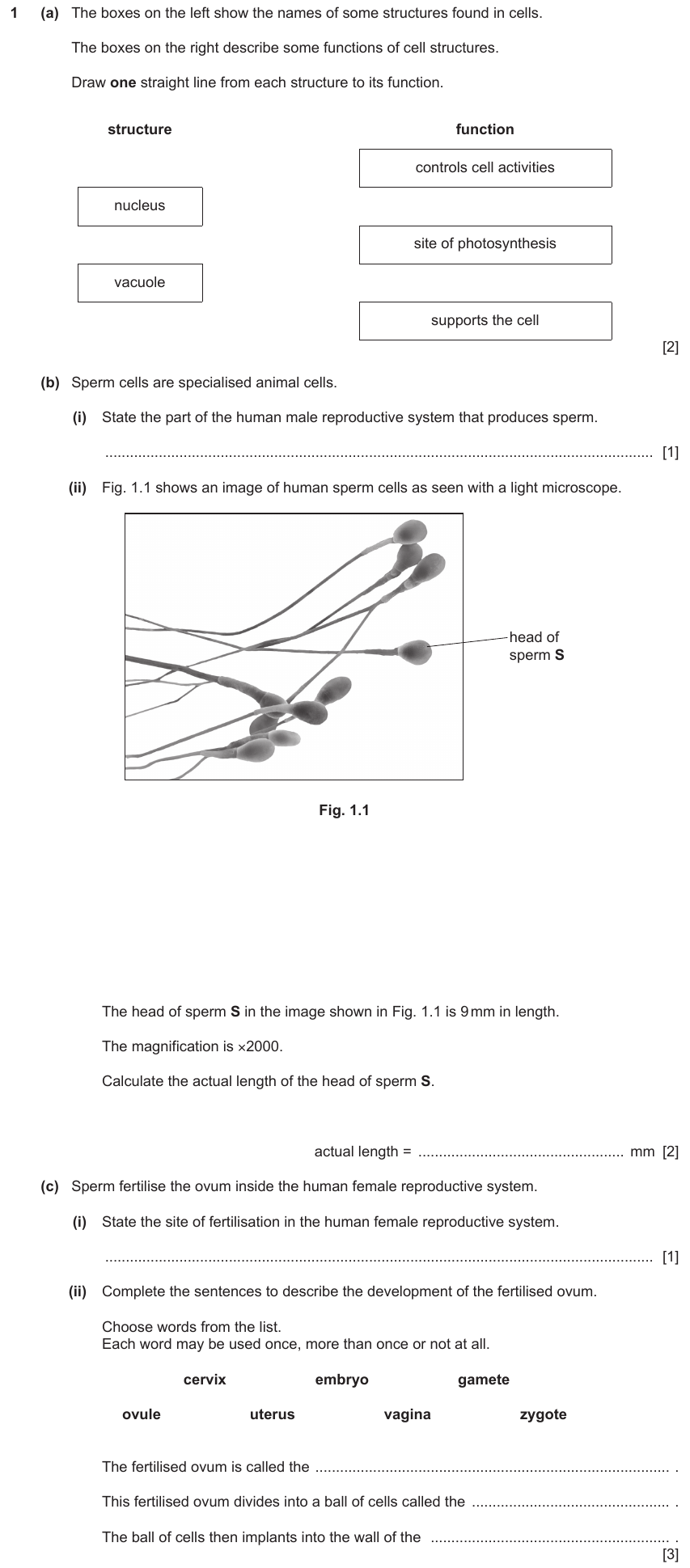 IGCSE 0653 Mar 2024 Paper 32 Q1 — Reproduction