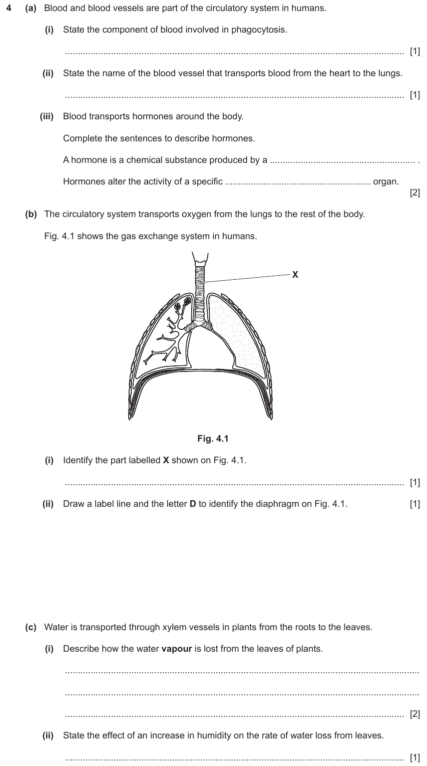 IGCSE 0653 Mar 2024 Paper 32 Q4 — Coordination & Response