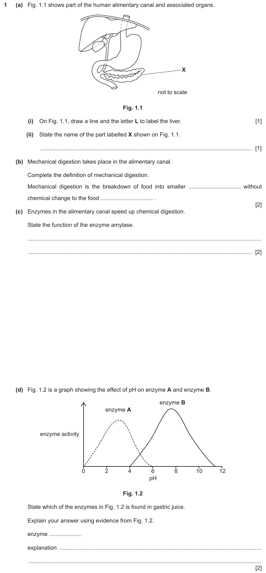 IGCSE 0653 Mar 2024 Paper 42 Q1 — Human Nutrition