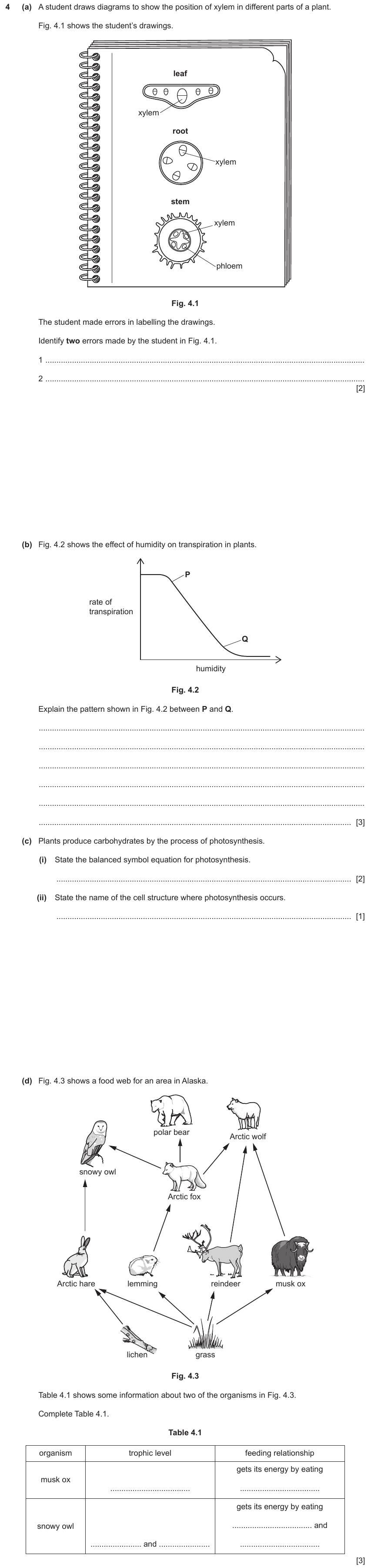 IGCSE 0653 Mar 2024 Paper 42 Q4 — Transport in Plants