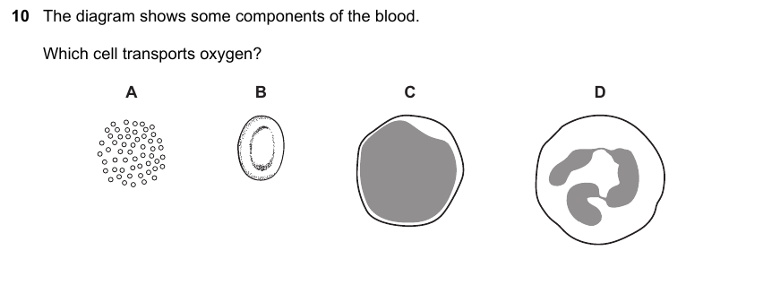 IGCSE 0653 Mar 2025 Paper 12 Q10 — Reproduction