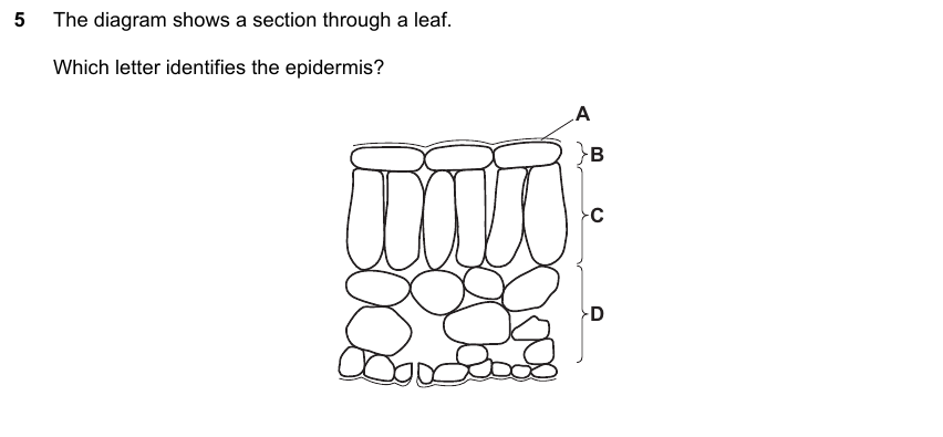IGCSE 0653 Mar 2025 Paper 12 Q5 — Human Nutrition