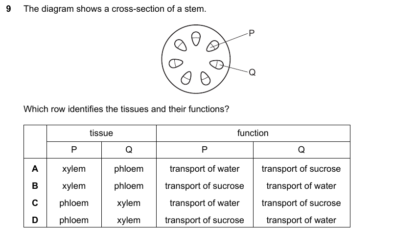 IGCSE 0653 Mar 2025 Paper 12 Q9 — Reproduction