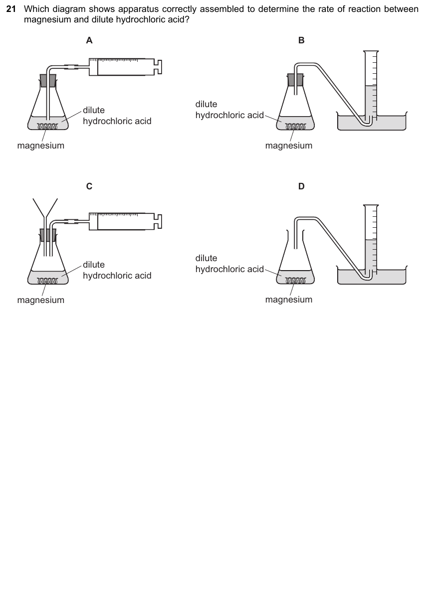 IGCSE 0653 Mar 2025 Paper 22 Q21 — Rate of Reaction