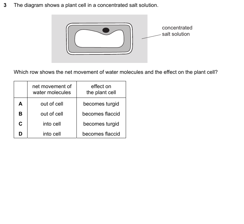 IGCSE 0653 Mar 2025 Paper 22 Q3 — Excretion