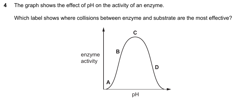 IGCSE 0653 Mar 2025 Paper 22 Q4 — Human Nutrition