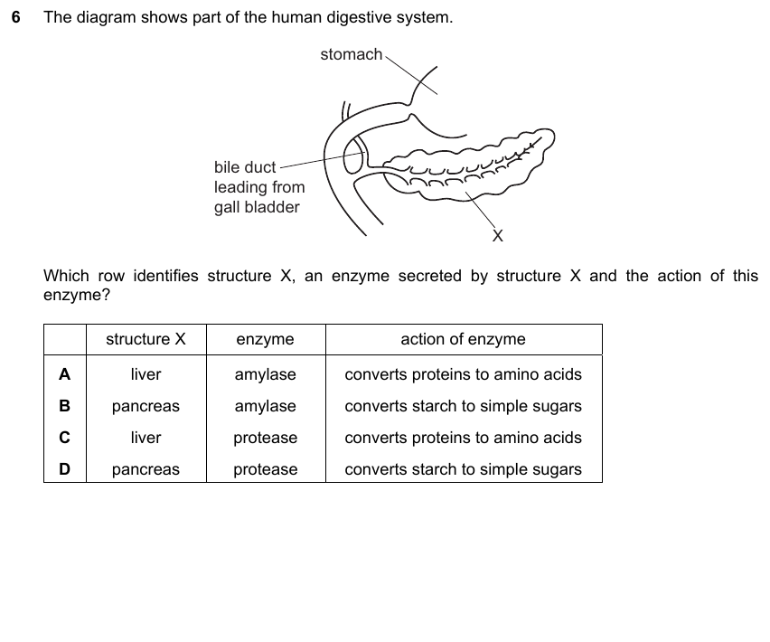 IGCSE 0653 Mar 2025 Paper 22 Q6 — Gas Exchange & Respiration
