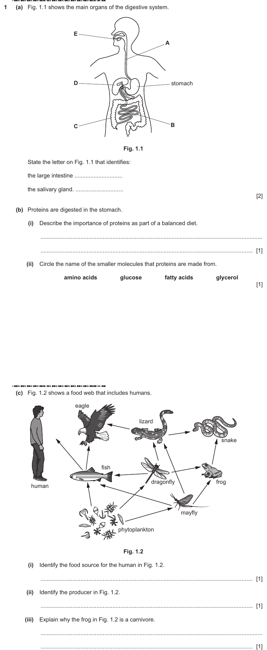 IGCSE 0653 Mar 2025 Paper 32 Q1 — Reproduction