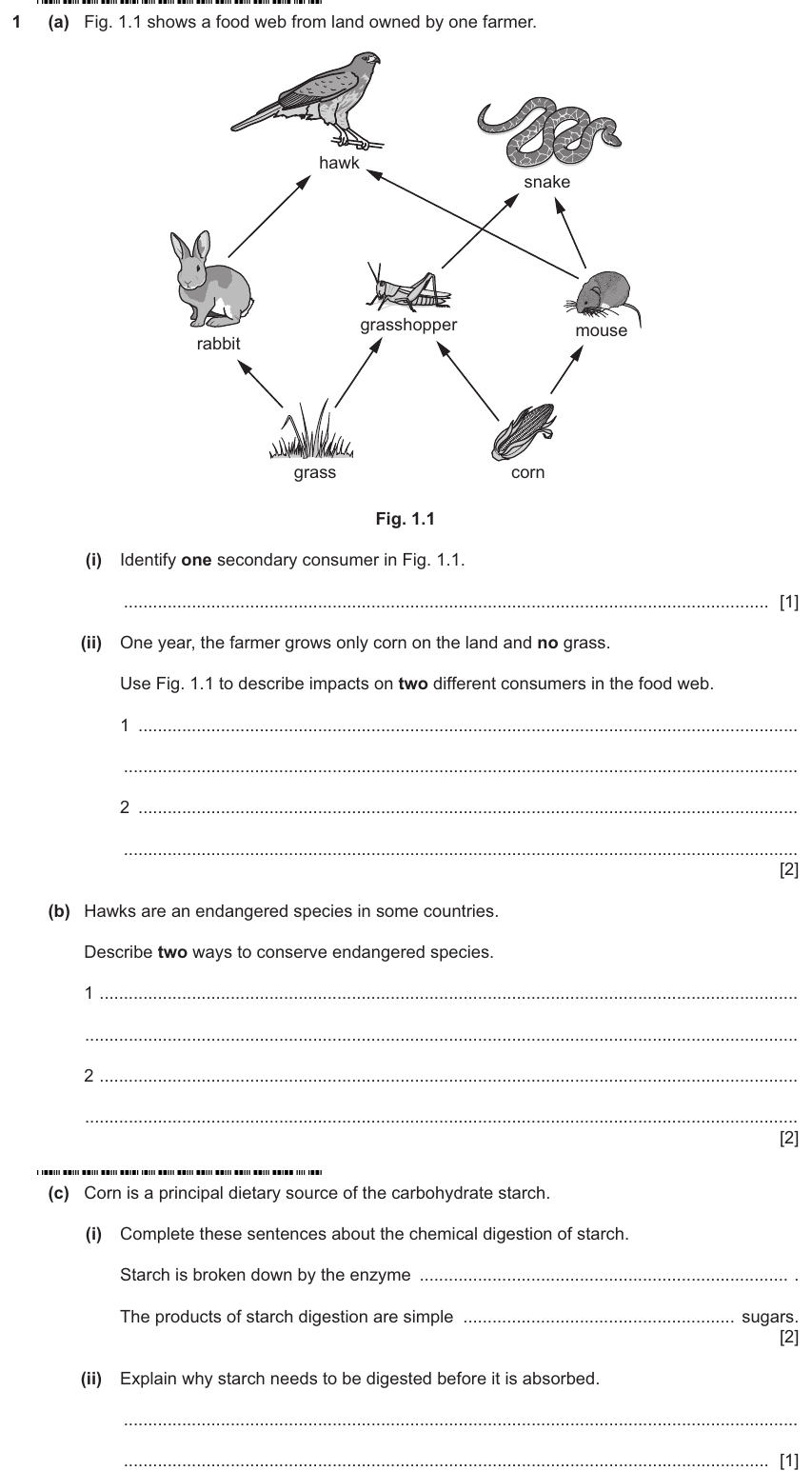 IGCSE 0653 Mar 2025 Paper 42 Q1 — Transport in Animals