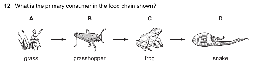 IGCSE 0653 May/Jun 2023 Paper 11 Q12 — Reproduction
