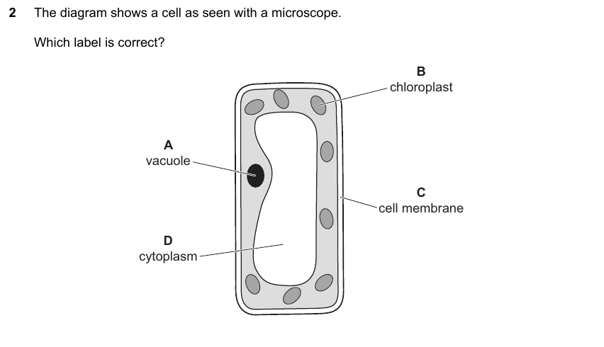 IGCSE 0653 May/Jun 2023 Paper 12 Q2 — Excretion