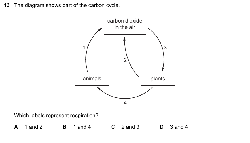 IGCSE 0653 May/Jun 2023 Paper 13 Q13 — Gas Exchange & Respiration