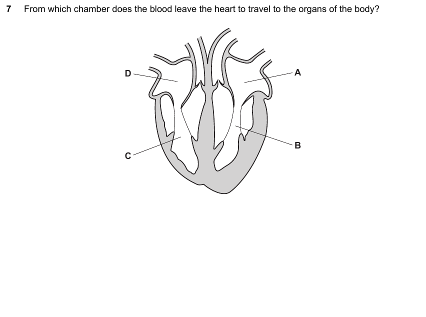 IGCSE 0653 May/Jun 2023 Paper 13 Q7 — Reproduction