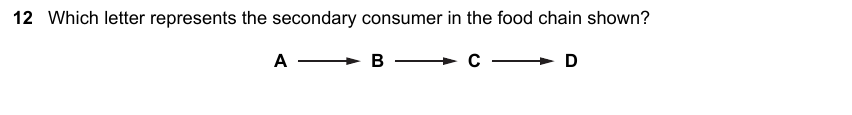 IGCSE 0653 May/Jun 2023 Paper 21 Q12 — Gas Exchange & Respiration