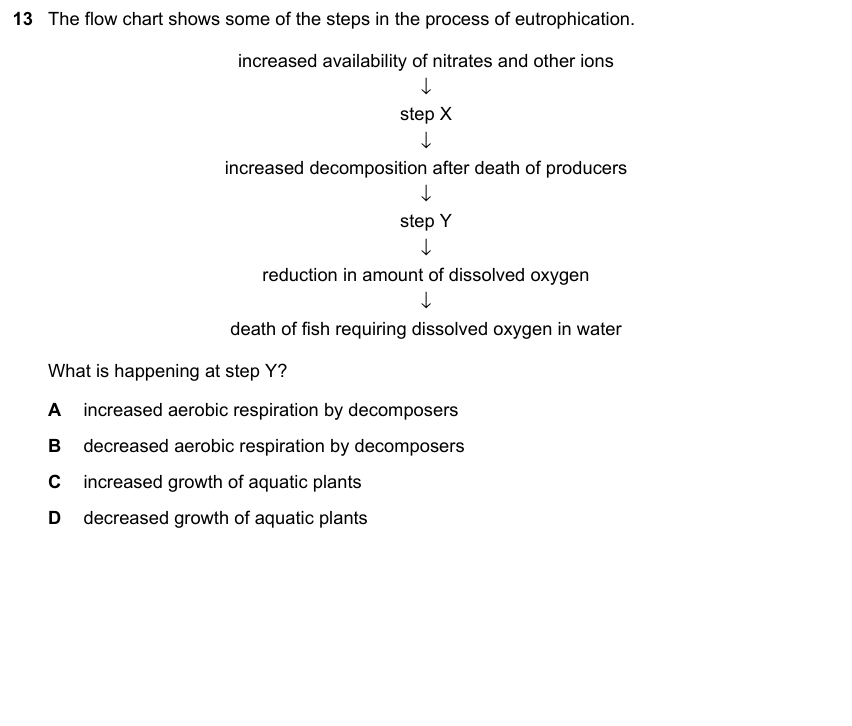 IGCSE 0653 May/Jun 2023 Paper 21 Q13 — Gas Exchange & Respiration