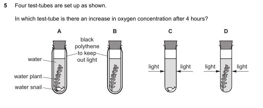 IGCSE 0653 May/Jun 2023 Paper 21 Q5 — Variation & Selection