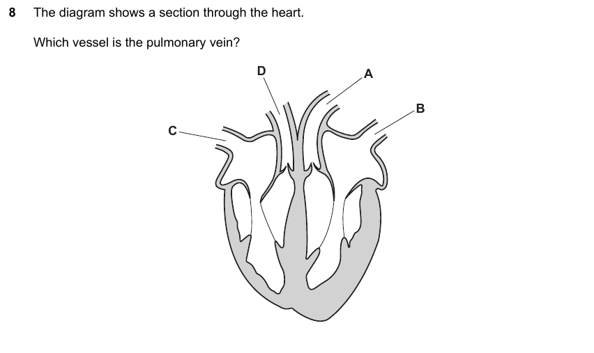 IGCSE 0653 May/Jun 2023 Paper 21 Q8 — Reproduction